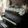 whitepunto.wordpress.com