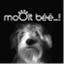 mooltbee.com
