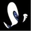 websiteanalystsresource.wordpress.com