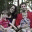 longdaysshortyears.wordpress.com