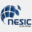 nesicsa.com