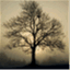 withoutspot.wordpress.com