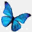 reswal.com