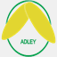 adleylab.com