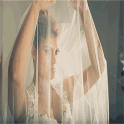 floweringtreesonsale.com