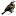 sparrowsnest.com