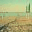 cesenatico.net