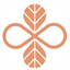 dsilglobal.com