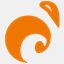 dmcnets.com