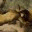 michelkoven.wordpress.com