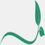 greener-solutions.com