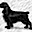pemberleyfields.com