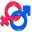 prointim.info