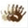 proyectocaribecr.org