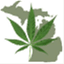 lansingdispensary.com