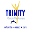 trinaz.com