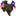 themolinateam.com