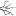 pamelatoman.net