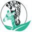consciousrunner.com