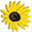 msshb.de