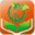 qipin8.com