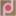 xhzptnz.com
