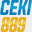 ceki899.com