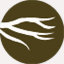 branchdesign.ca