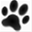 turbocat.net