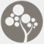 ecopalet.cl