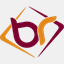 bwiremesh.com