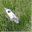 peterandfelice.com