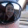 plaindottedjane.wordpress.com