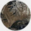 fredrikakerberg.com