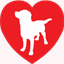 compe-propo.com
