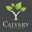 calvarybaptistwindsor.com