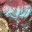 dullcookies.wordpress.com