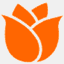 bloomthat.com