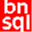 bnsql.com