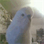 feathertree3.com