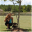 nthefitzone.com
