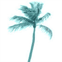 foreverdreamcatching.com