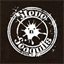 stevenseagulls.com