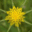 gartennetzwerk.com