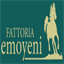 emoyeni.it