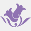 fwfa-consulting.com