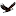 skywebworld.com