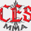 cesmma.com