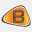 bransys.com