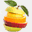 gtrees.net